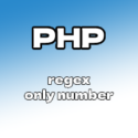 Menampilkan Angka dengan Regex pada PHP